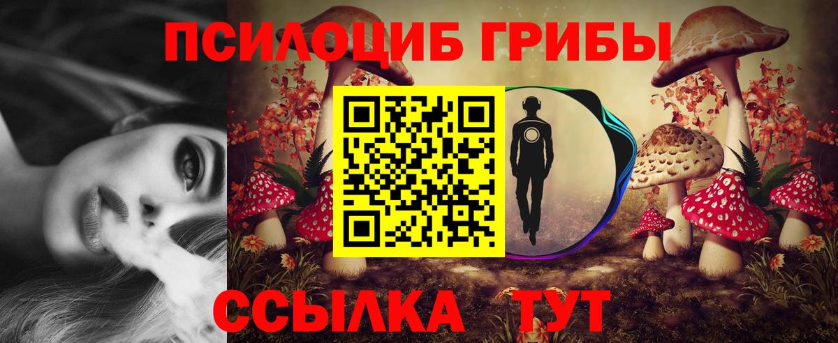 Псилоцибиновые грибы MAGIC MUSHROOMS  Вход с VPN  Галлюциногенные грибы MAGIC MUSHROOMS  Сарапул 