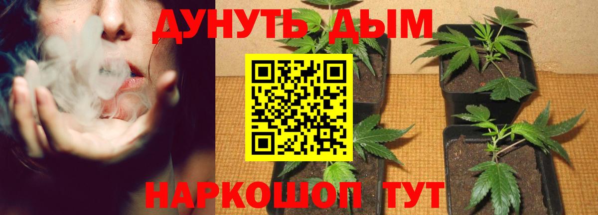Бошки Шишки White Widow  Канабис MAZAR  Вход с VPN  Каннабис VHQ  Сарапул 